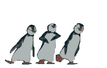 Silly animated dancing penguins