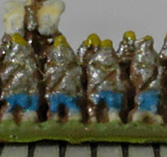 2mm legionaries, with painted belts.