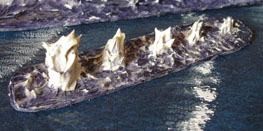 Five diminishing splashes.