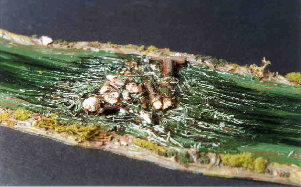 Superb rapids model